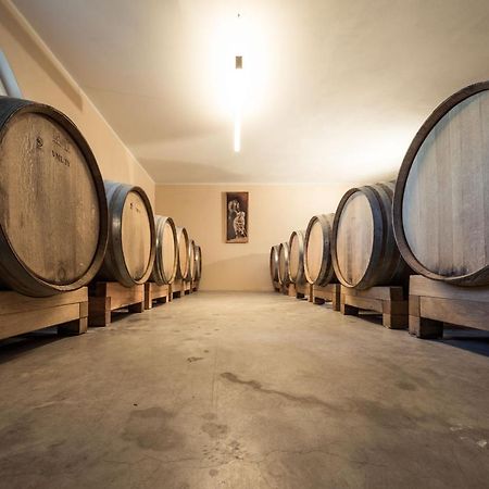 Вілла Weingut Dona Апп'яно-сулла-Страда-дель-Віно Екстер'єр фото