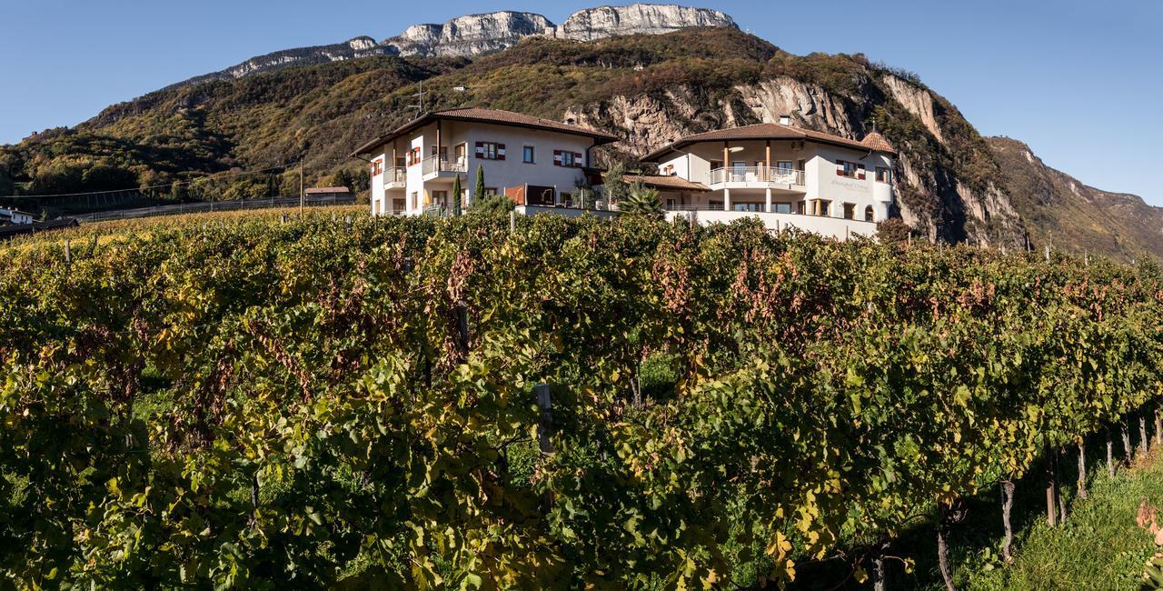 Вілла Weingut Dona Апп'яно-сулла-Страда-дель-Віно Екстер'єр фото