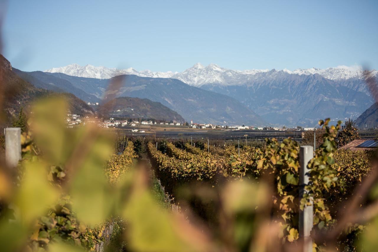Вілла Weingut Dona Апп'яно-сулла-Страда-дель-Віно Екстер'єр фото