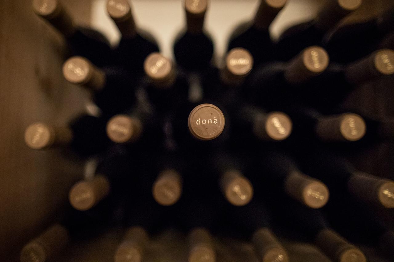 Вілла Weingut Dona Апп'яно-сулла-Страда-дель-Віно Екстер'єр фото